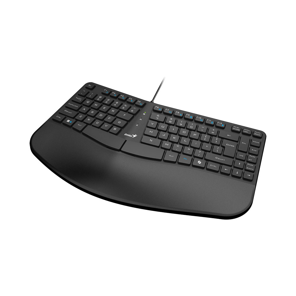 GENIUS KB-700 | ERGONOMIC 1.5M USB KEYBOARD WITH PALM REST